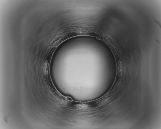 X0000102370511200808081155