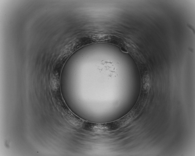 X0000102370515200808081155