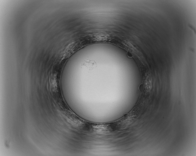 X0000102370516200808081155