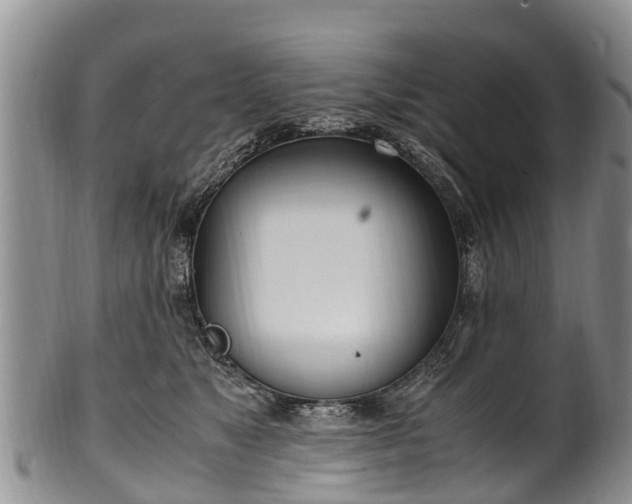 X0000102370517200808081155