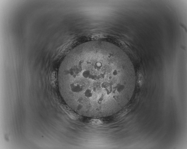 X0000102370519200808081155