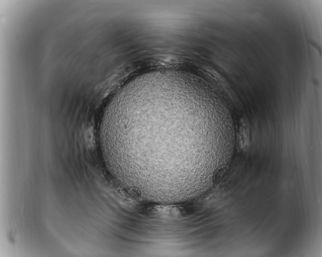 X0000102370520200808081155