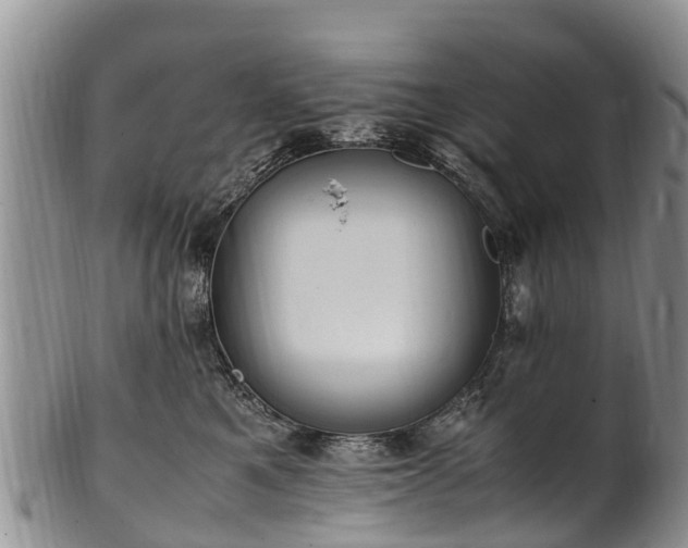 X0000102370521200808081155