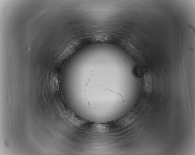 X0000102370522200808081155