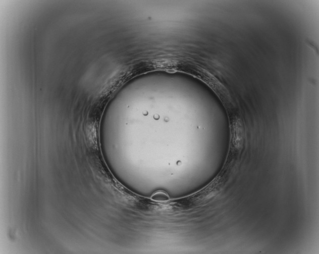 X0000102370523200808081155