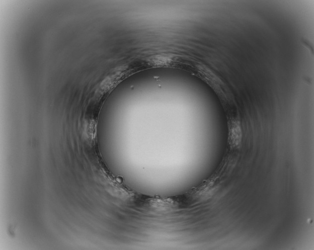 X0000102370525200808081155