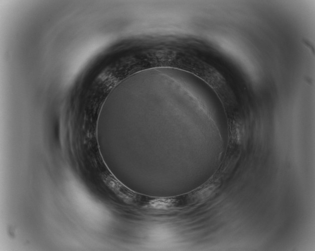 X0000102370526200808081155