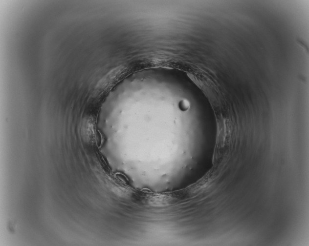 X0000102370527200808081155