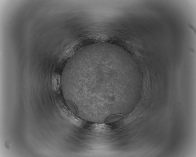 X0000102370528200808081155