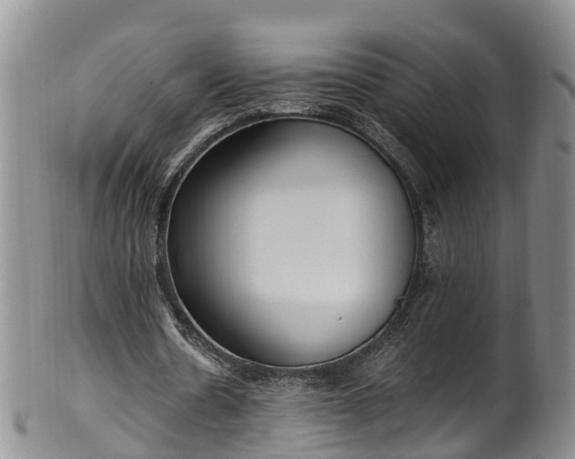 X0000102370530200808081154