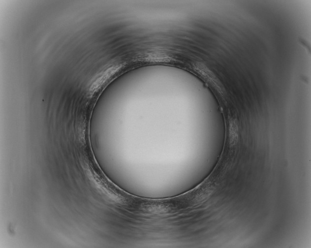 X0000102370533200808081155