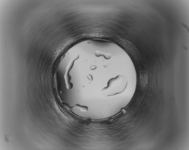 X0000102370534200808081155