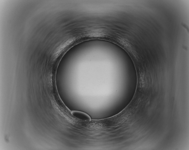 X0000102370535200808081155