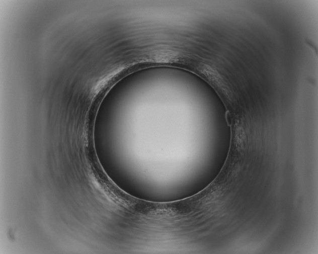 X0000102370536200808081155