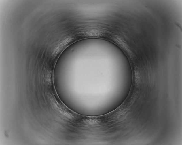 X0000102370537200808081155