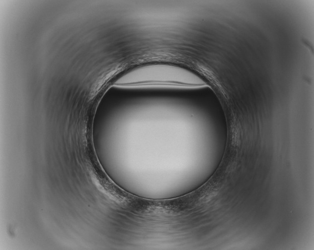 X0000102370538200808081155