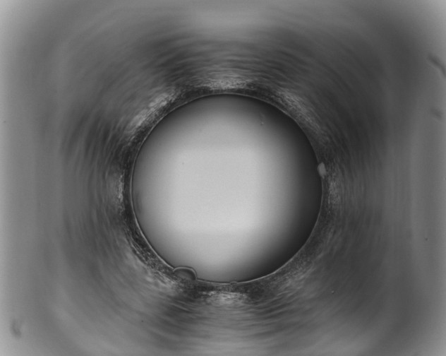 X0000102370539200808081155