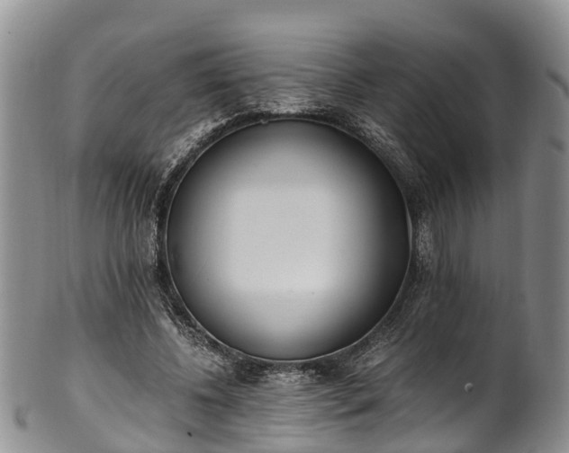 X0000102370540200808081155