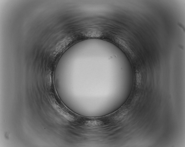 X0000102370541200808081155