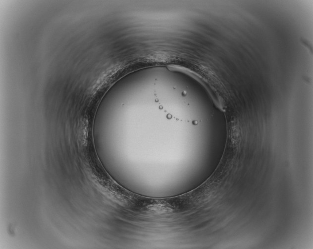 X0000102370544200808081155