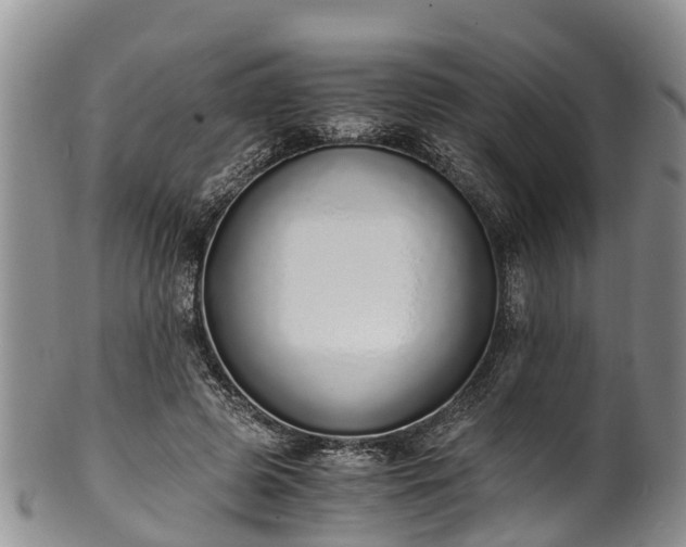 X0000102370545200808081155