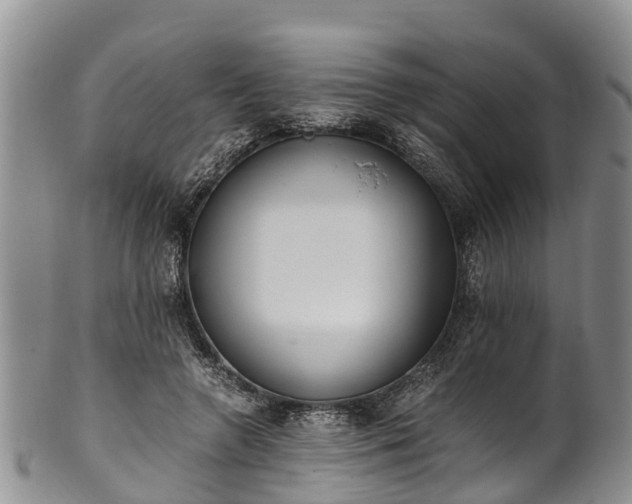 X0000102370546200808081155