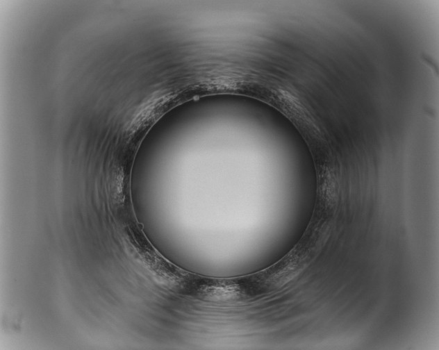 X0000102370548200808081155