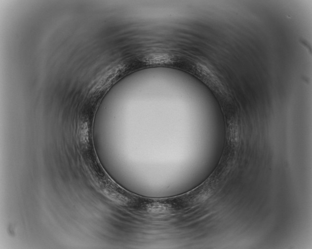 X0000102370549200808081155