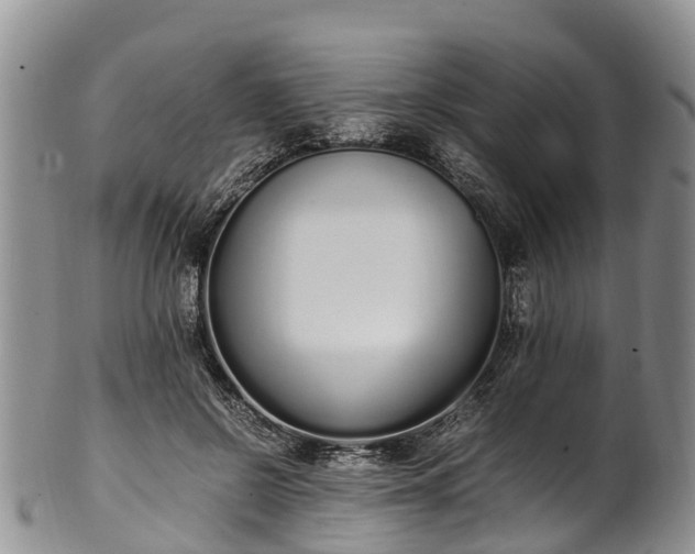 X0000102370550200808081155