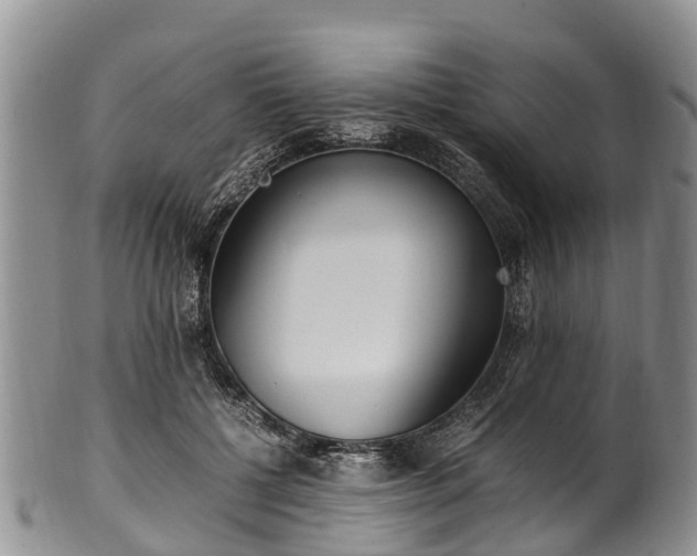 X0000102370552200808081155