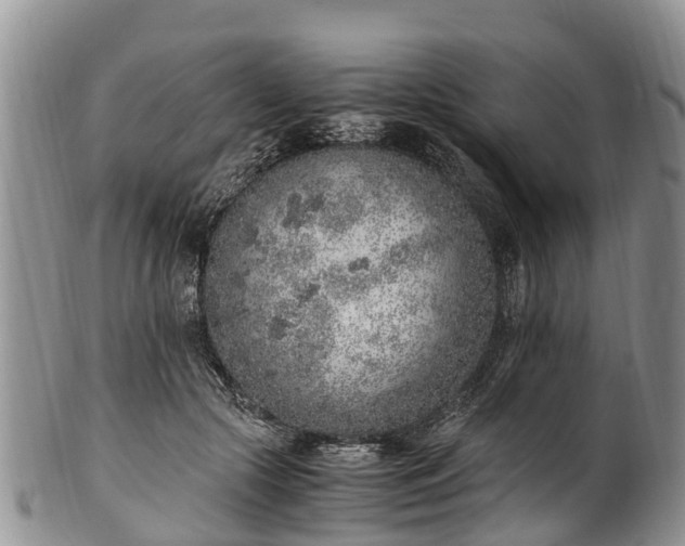 X0000102370553200808081155