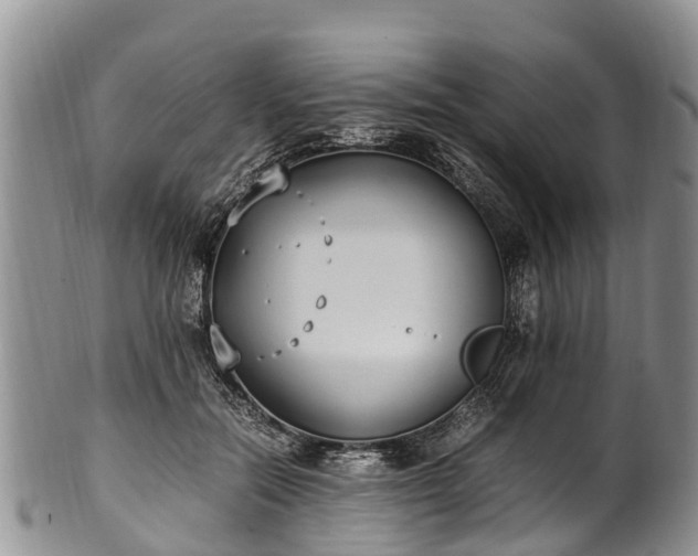 X0000102370554200808081155