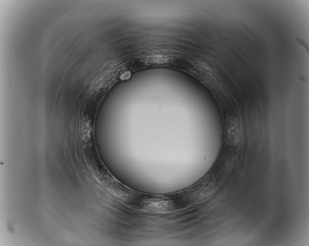 X0000102370555200808081155