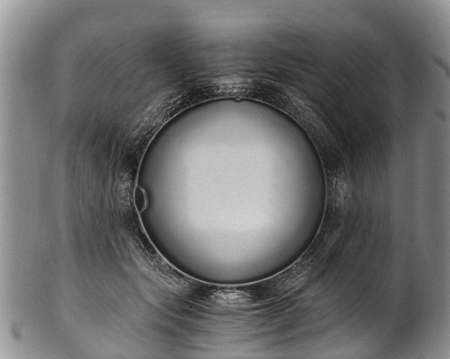 X0000102370557200808081155