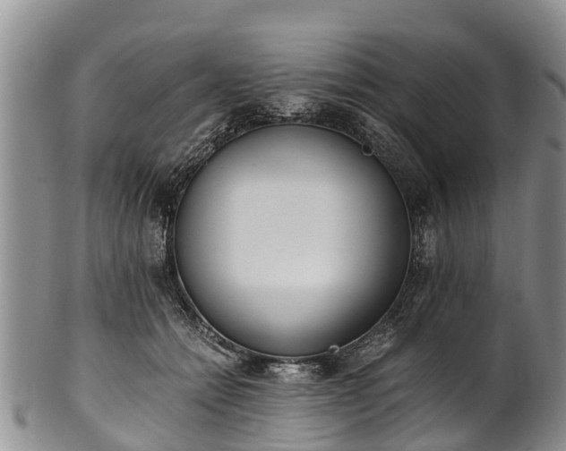 X0000102370558200808081155