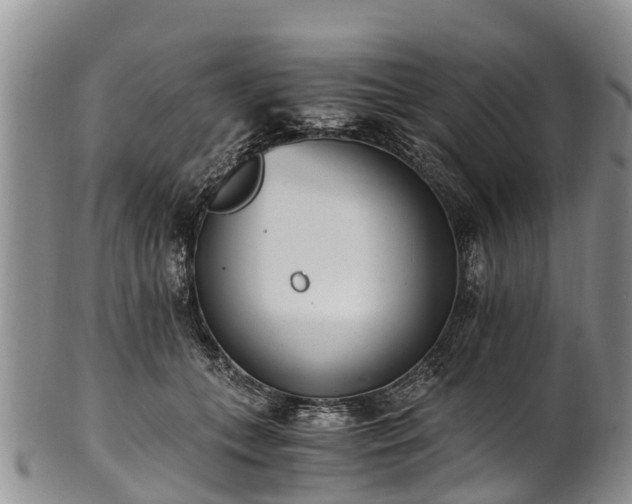 X0000102370559200808081155