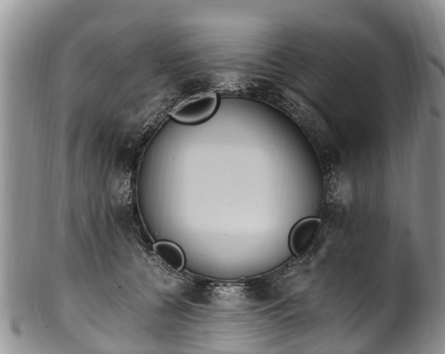 X0000102370560200808081155