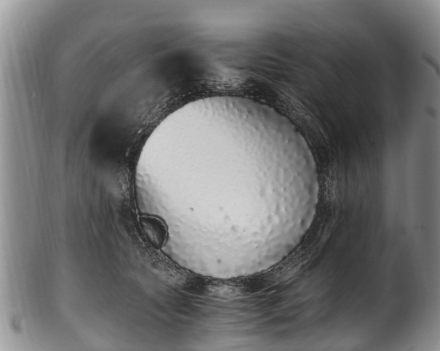 X0000102370561200808081155