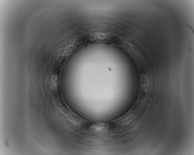 X0000102370563200808081155