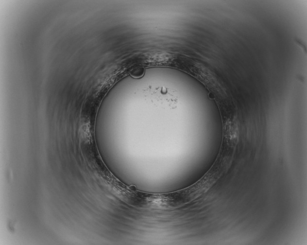 X0000102370564200808081155