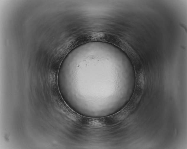 X0000102370565200808081155