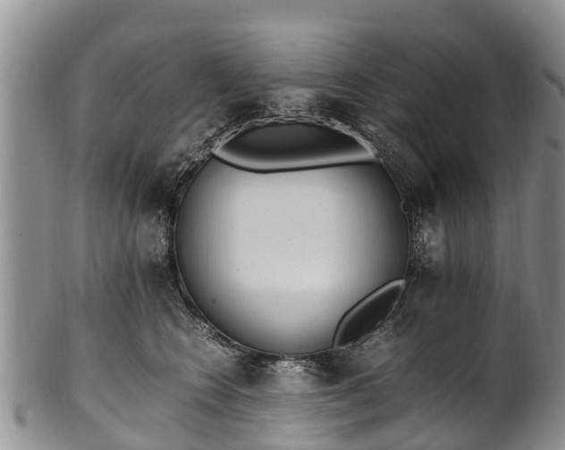 X0000102370566200808081155