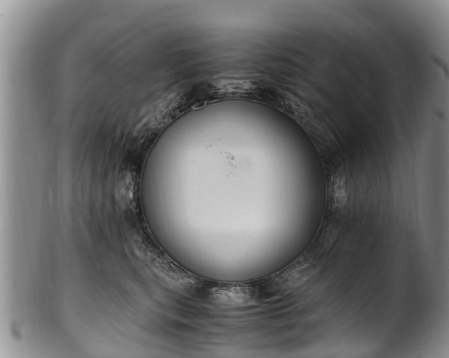 X0000102370567200808081155