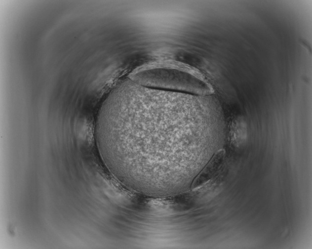 X0000102370568200808081155