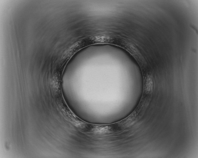 X0000102370569200808081155