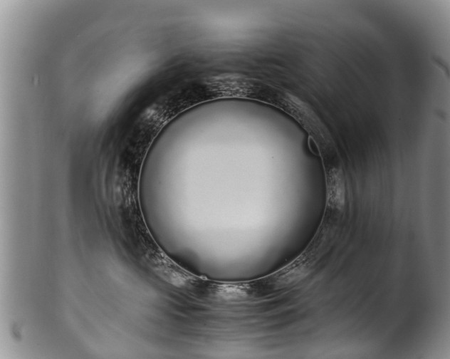 X0000102370573200808081155