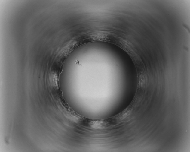 X0000102370575200808081155