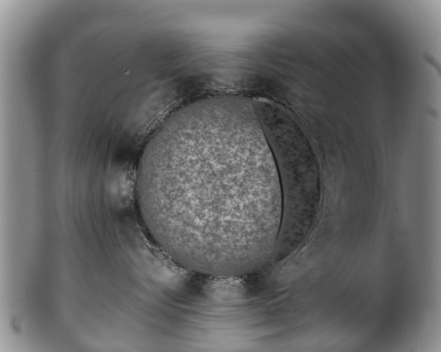 X0000102370576200808081155