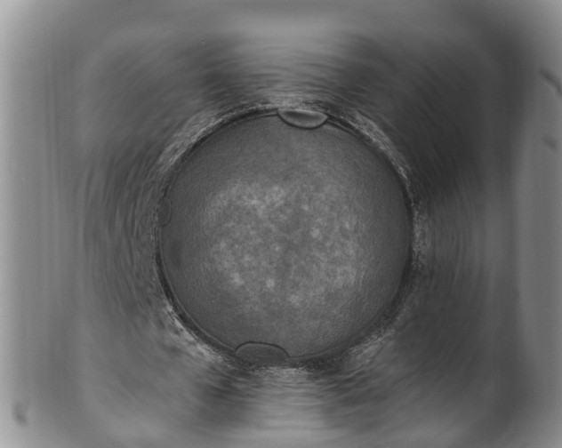 X0000102370577200808081154