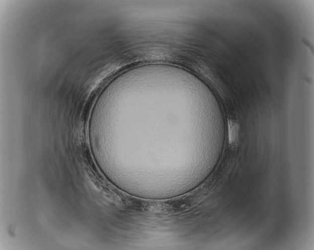 X0000102370579200808081154